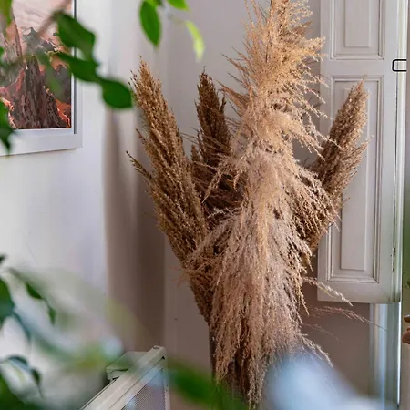 Le Petit Balcon De Verdun - Charme Francais, Central, Balcon, Equipe Apartmán Carcassonne